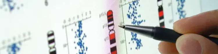 The Language of DNA